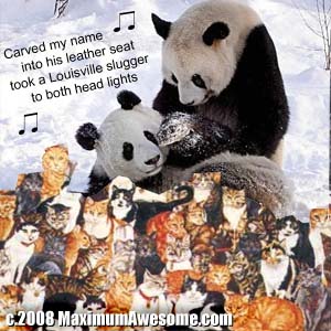 panda lesbian on sea of kittens cats singing carrie underwood