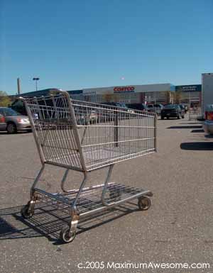 shopping cart pic