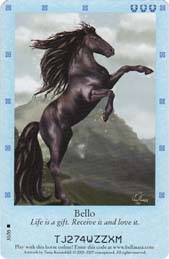 horse pony bella sara black stallion