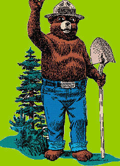 smokey the bear